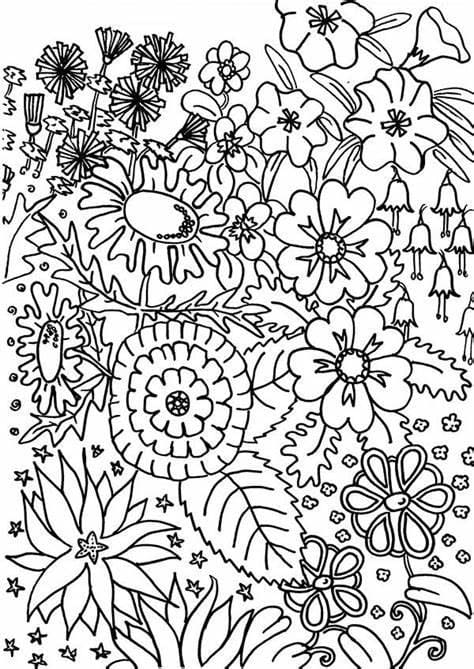 ระบายสี Garden Outline