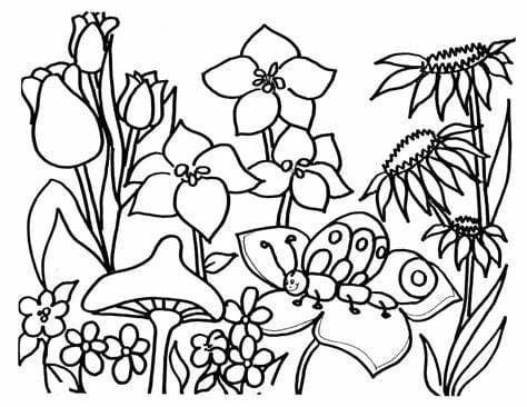 ระบายสี Pretty Gardening