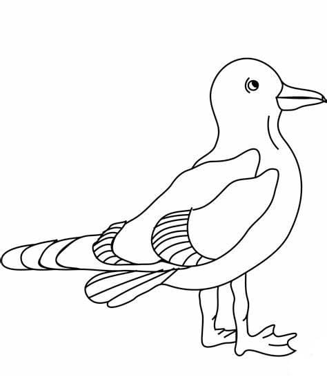 ระบายสี ภาพยืนของนกนางนวล