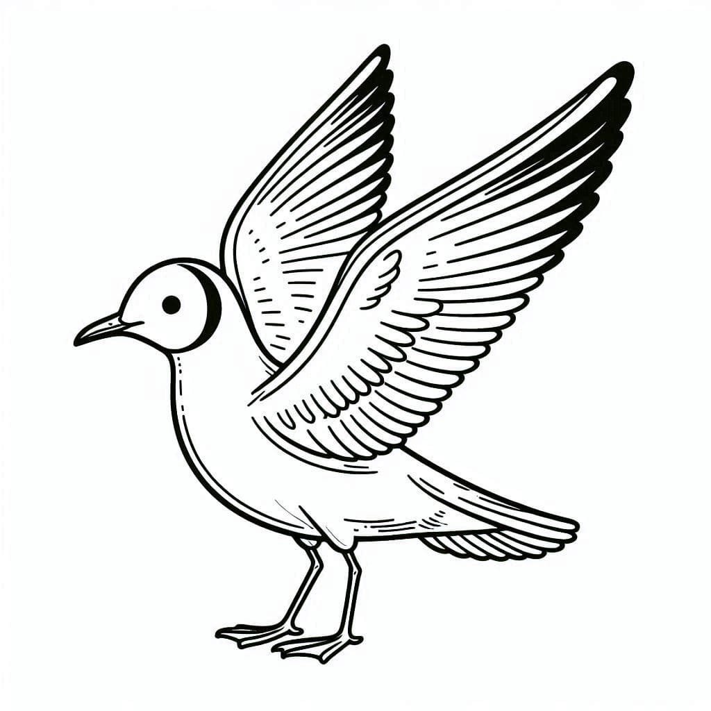 ระบายสี ความงามของนกนางนวล