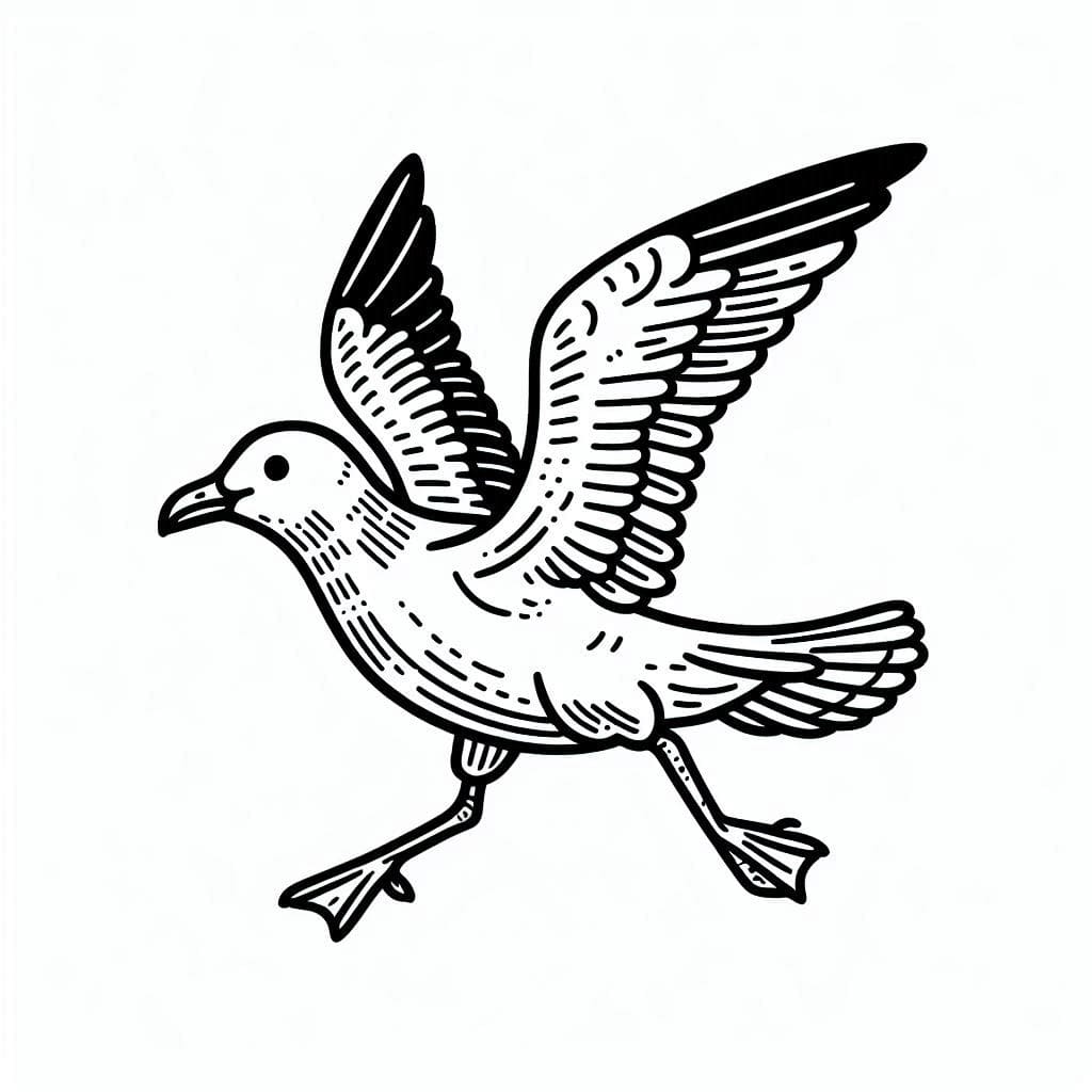 ระบายสี นกนางนวลกำลังวิ่ง