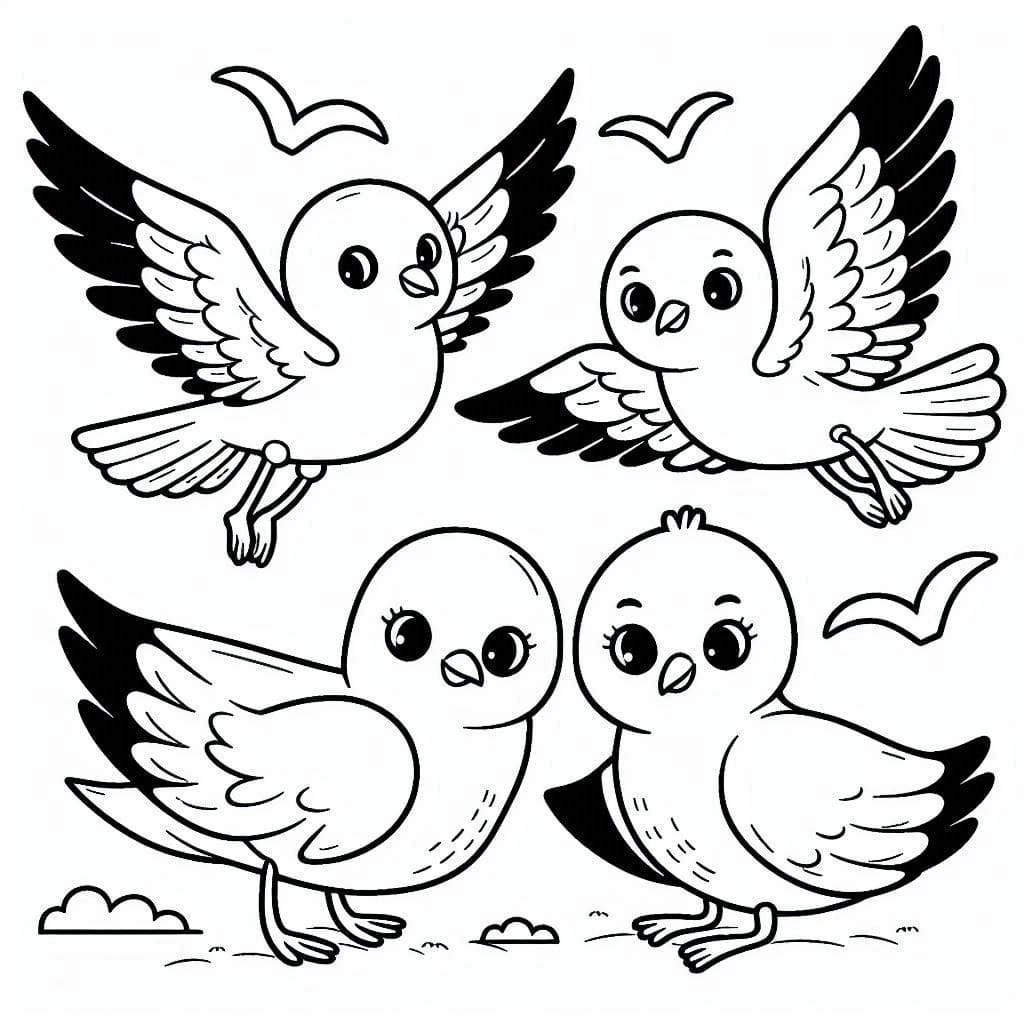 ระบายสี นกนางนวลน่ารักมาก