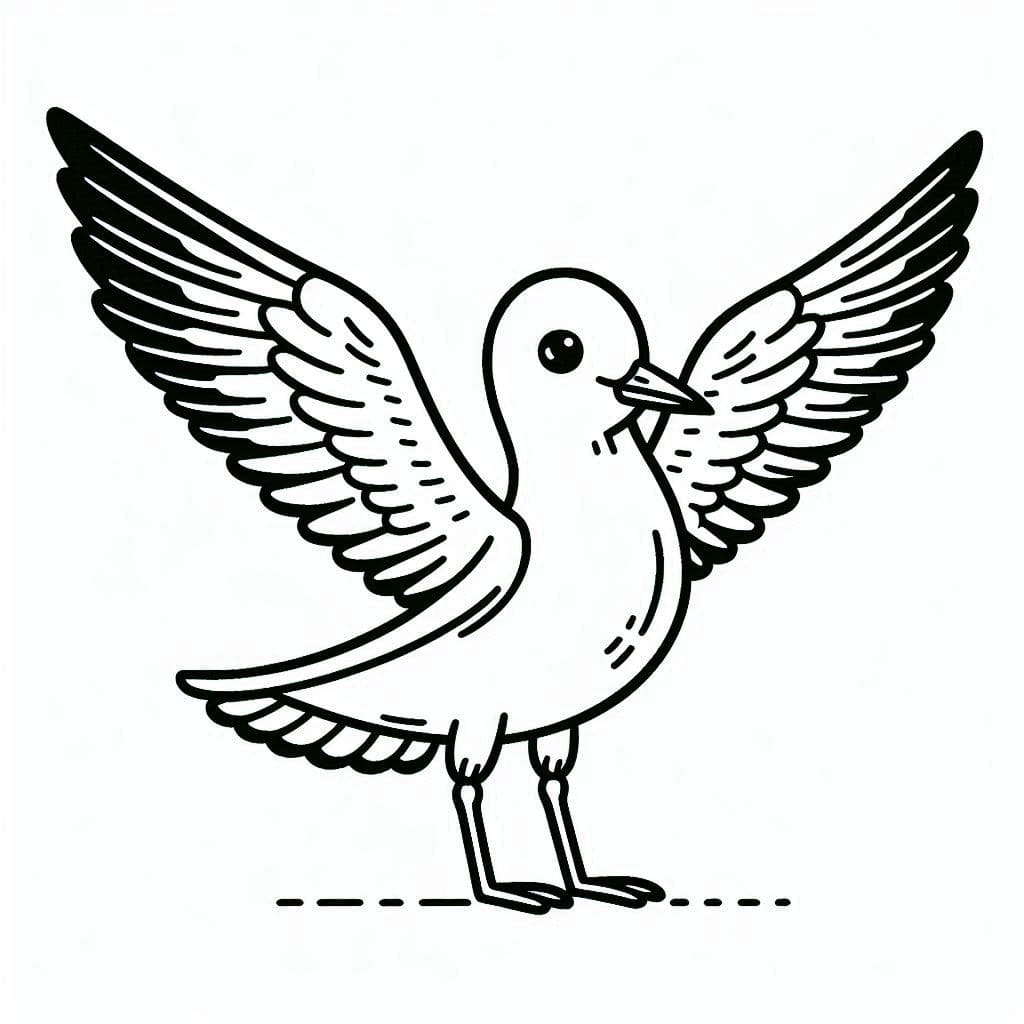 ระบายสี นกนางนวลปกติ