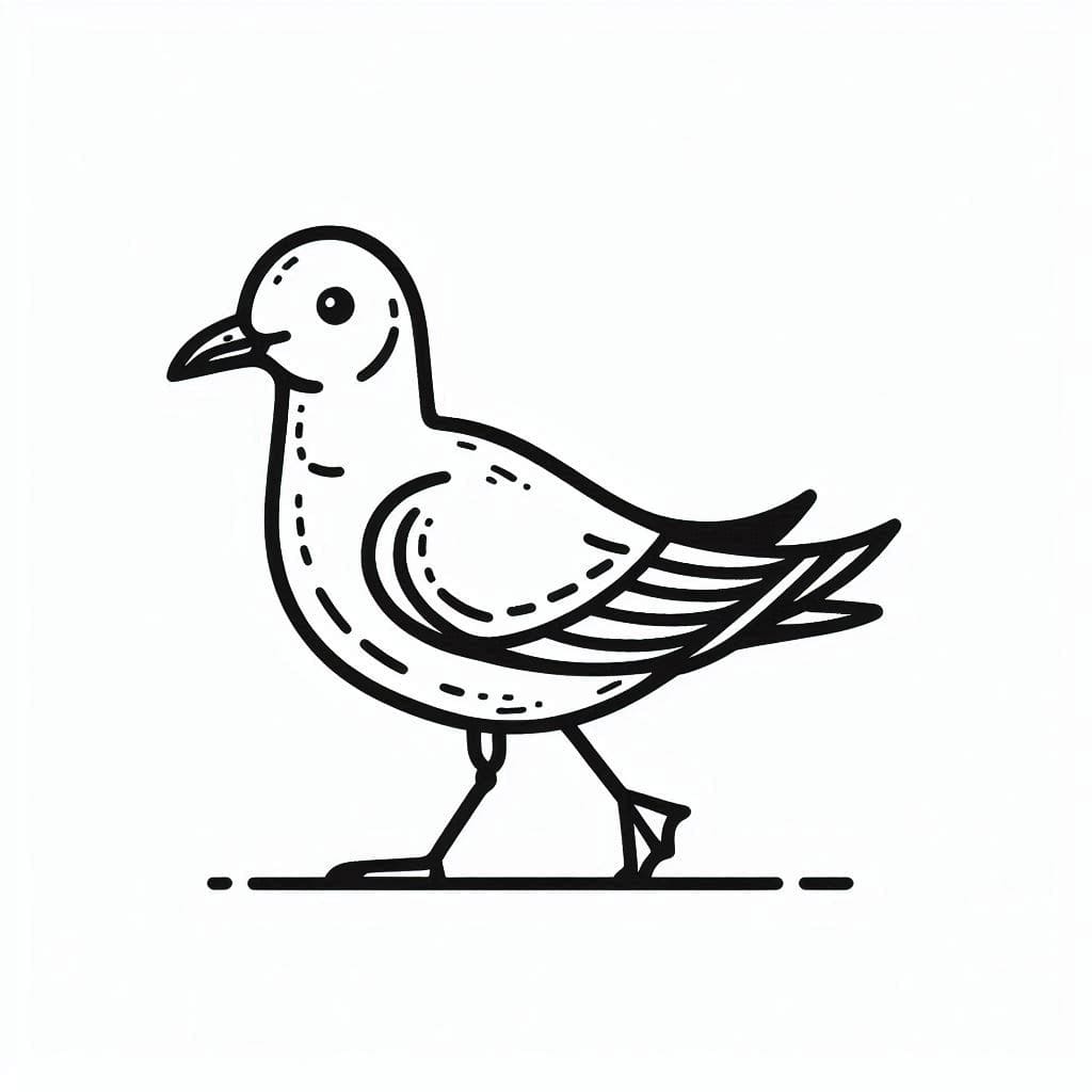 ระบายสี นกนางนวลที่พิมพ์ได้ภาพ