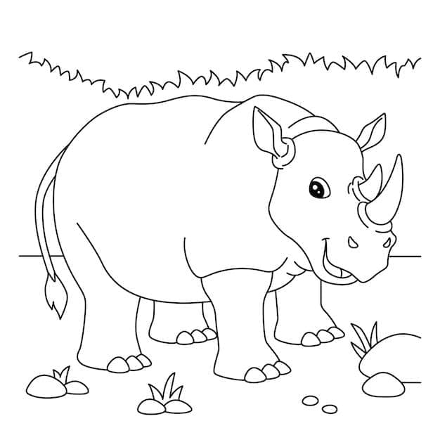 ระบายสี ฟรีแรด