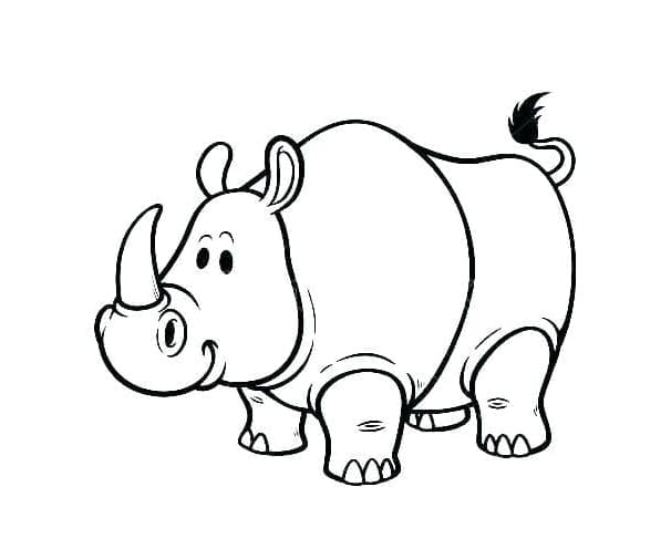 ระบายสี ไขมันแรด