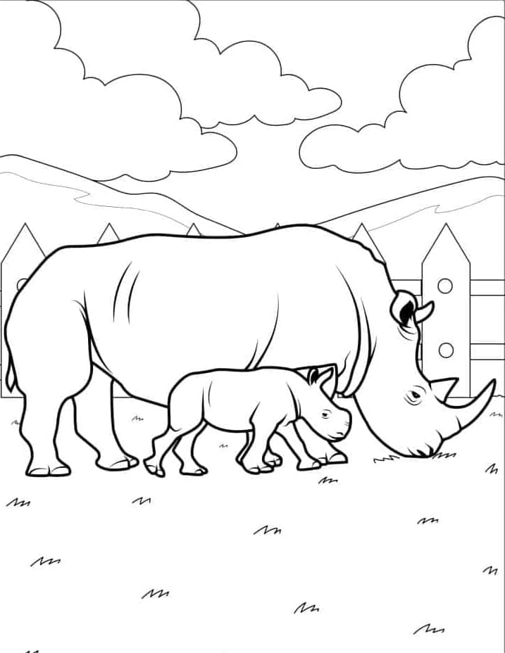 ระบายสี ครอบครัวแรด