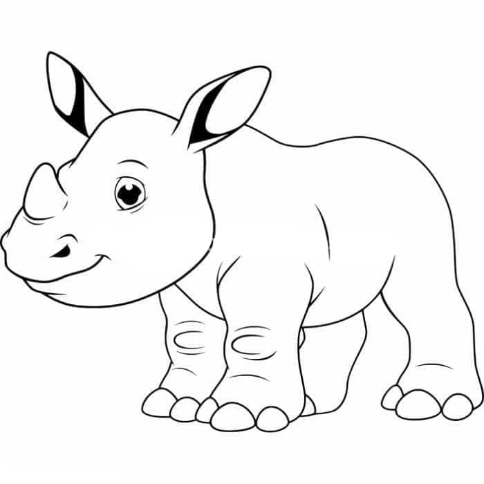 ระบายสี พิมพ์แรดฟรี