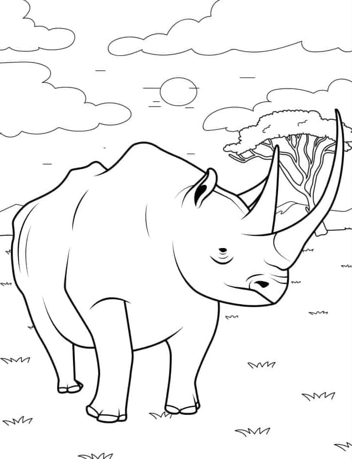 ระบายสี พิมพ์แรด