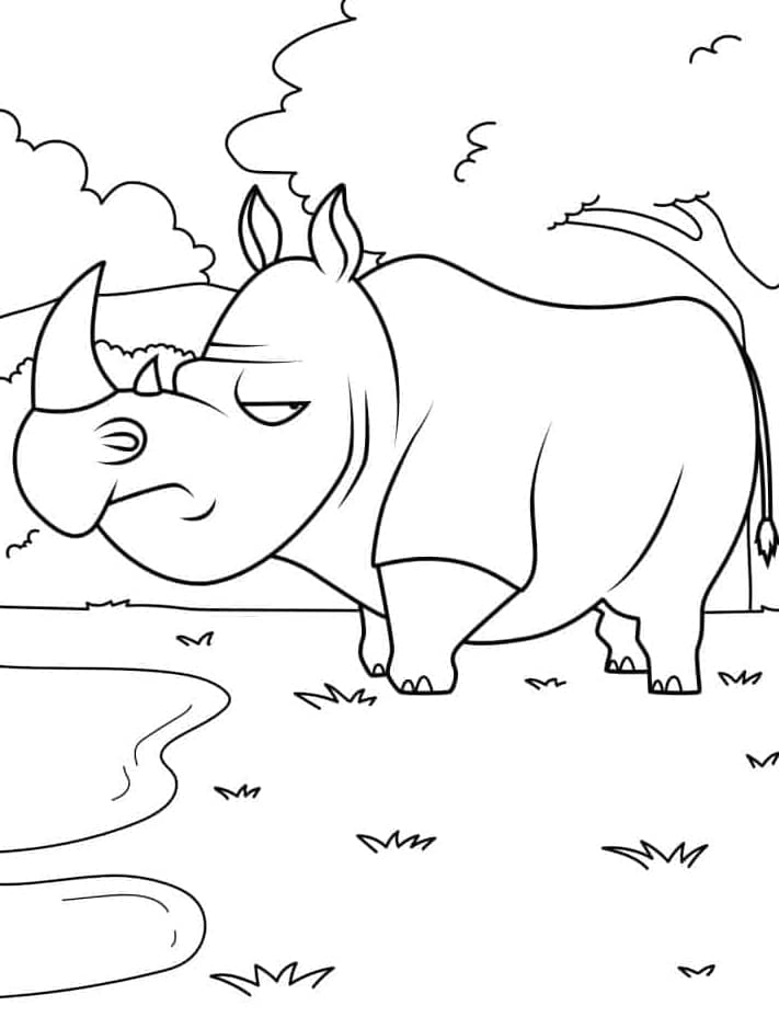 ระบายสี แรดขี้โมโห