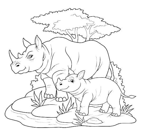 ระบายสี แรดและลูกของมันในป่า