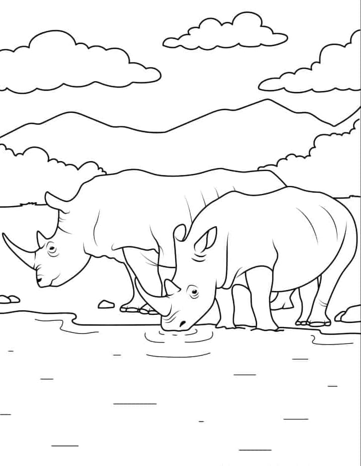 ระบายสี แรดสองตัวกำลังดื่มน้ำ