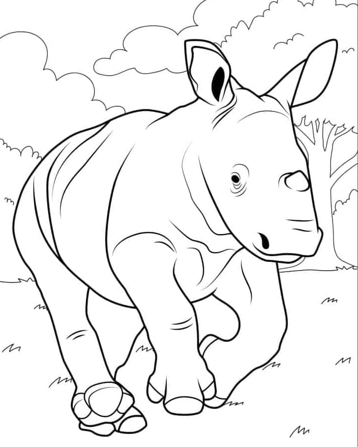 ระบายสี แรดวิ่ง