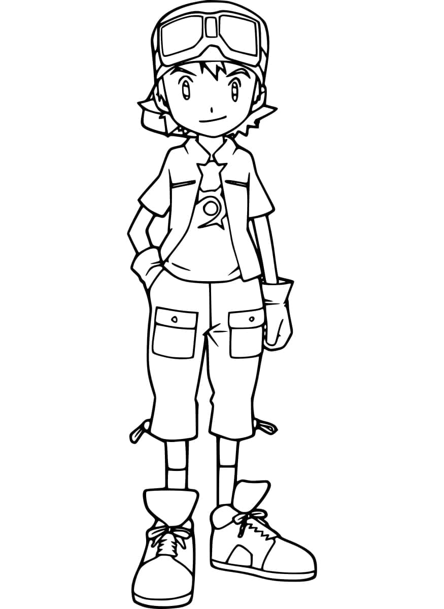 ระบายสี บ้านและความรู้สึกกุหลาบ