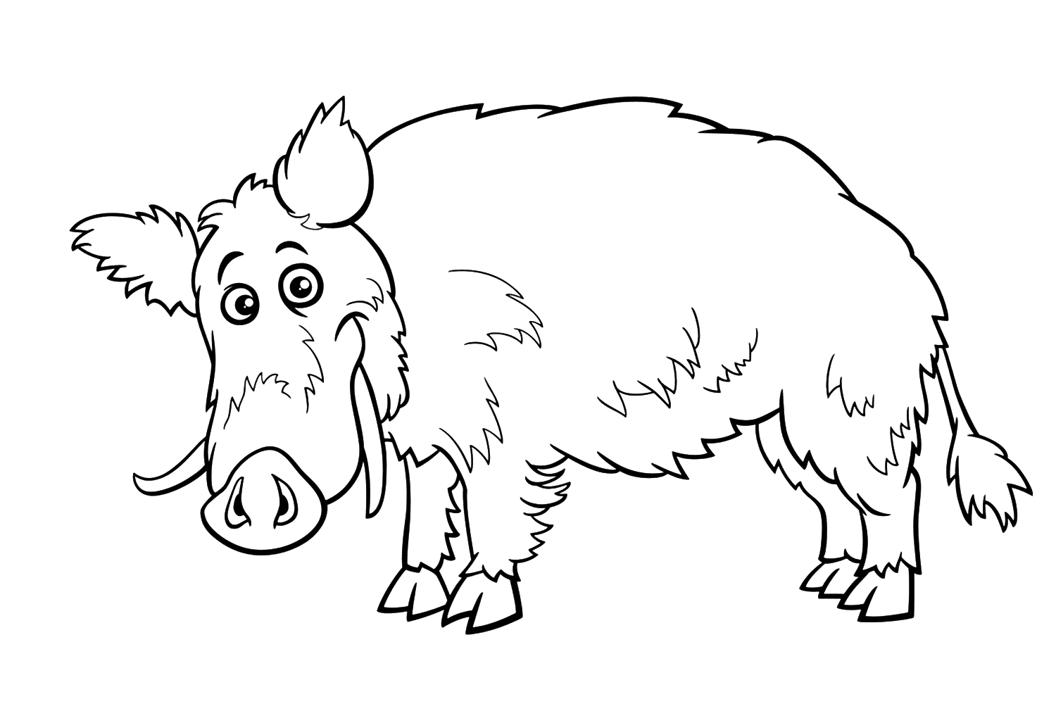 ระบายสี หมูป่าตลกสำหรับเด็ก