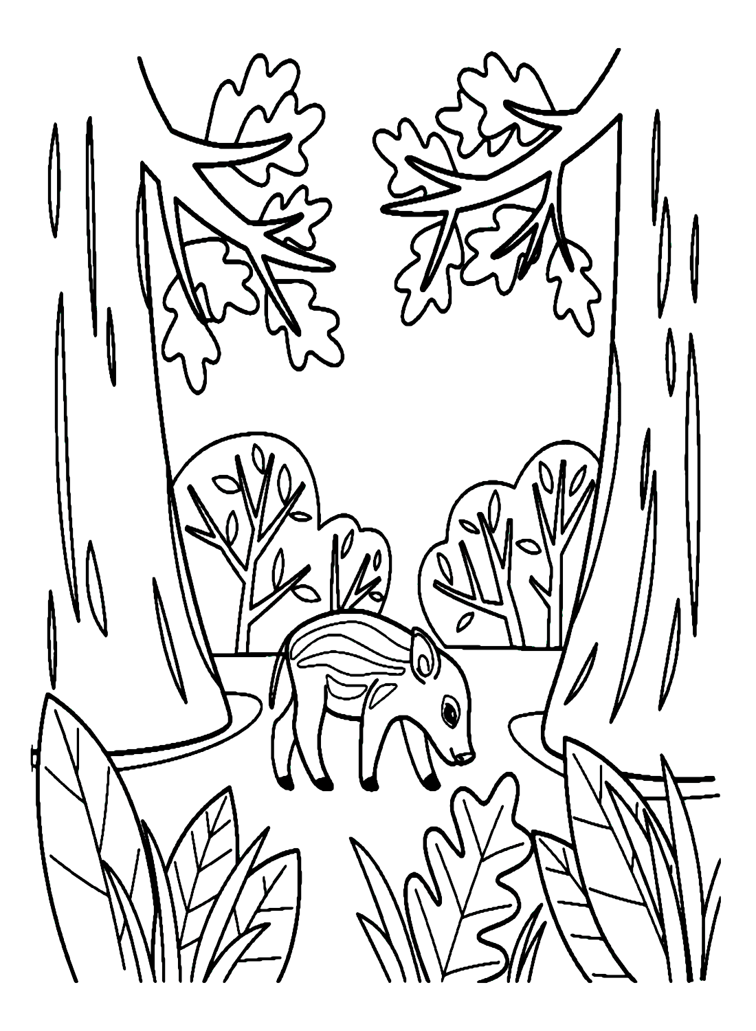 ระบายสี ลูกหมูป่าในป่า