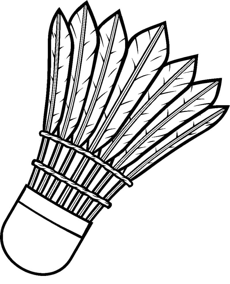 ระบายสี ลูกขนไก่แบดมินตัน