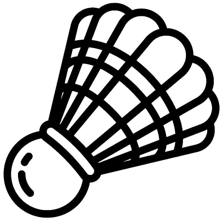 ระบายสี ลูกขนไก่