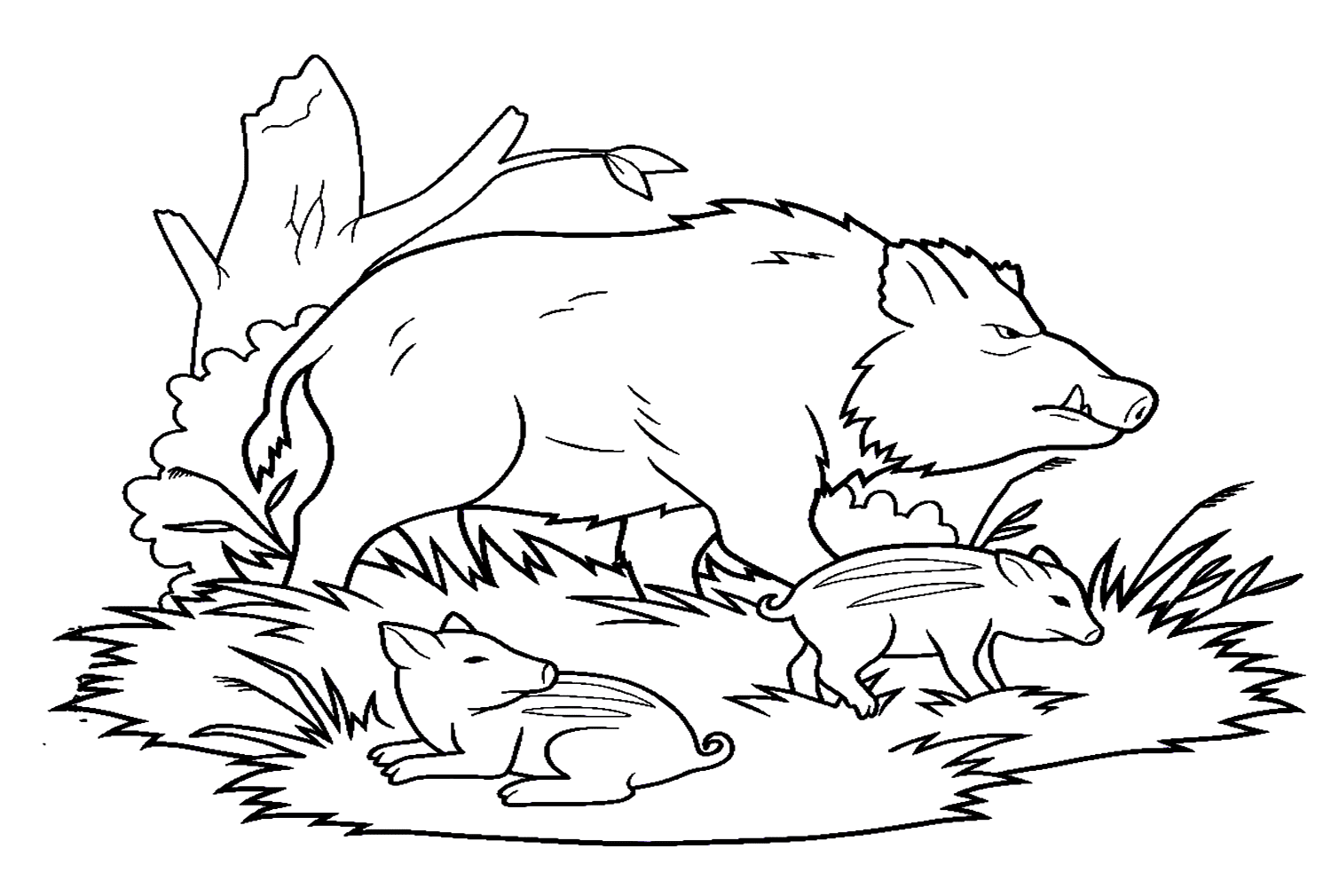 ระบายสี แม่หมูป่าและลูกหมู