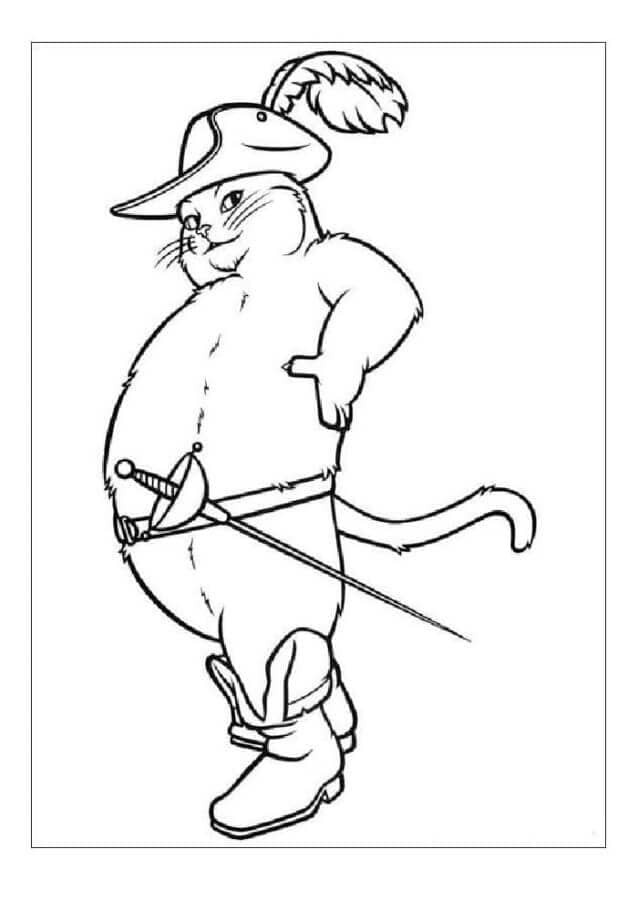 ระบายสี แมวอ้วนใส่รองเท้าบูท