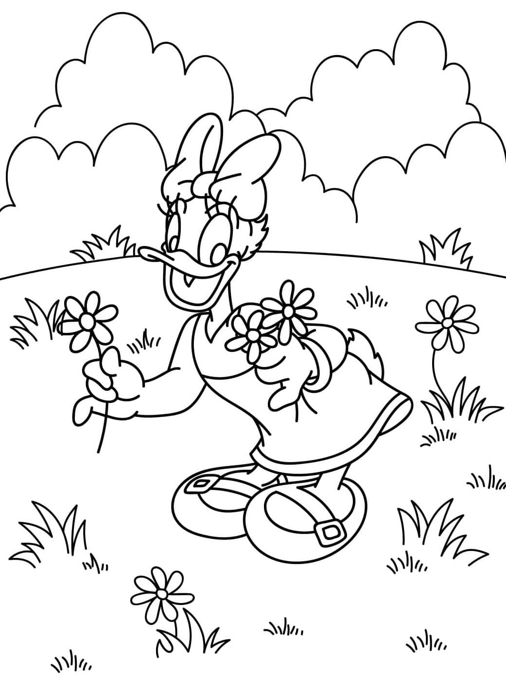 ระบายสี เดซี่ดั๊กในสวนดอกไม้