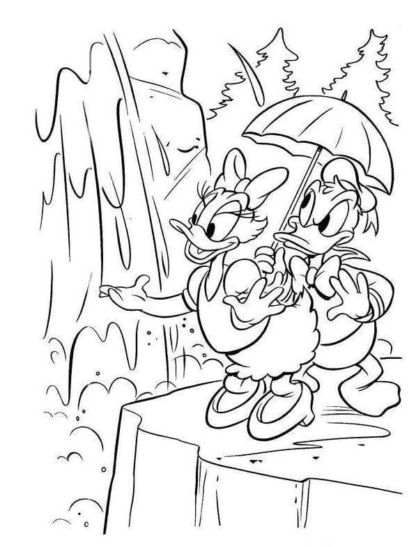 ระบายสี โดนัลด์กับเดซี่