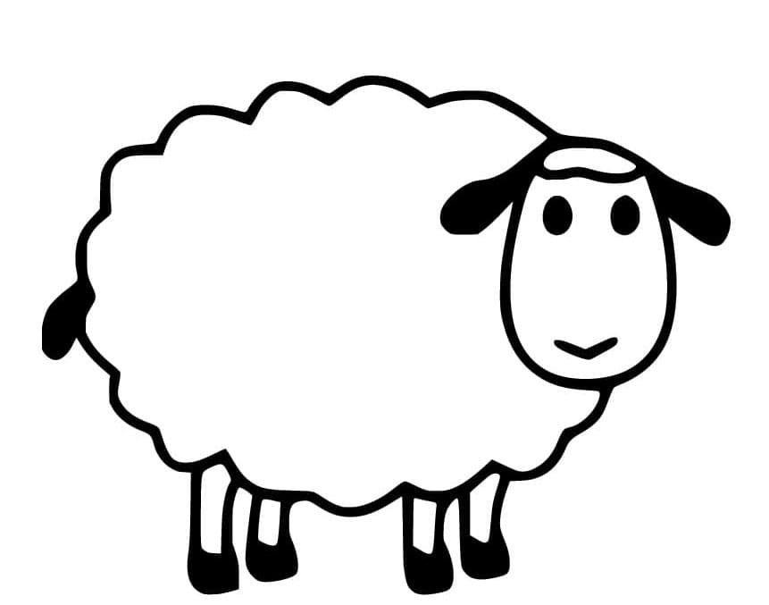 ระบายสี แกะฟรี