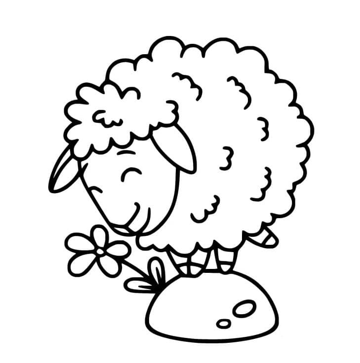 ระบายสี แกะน่ารักและดอกไม้