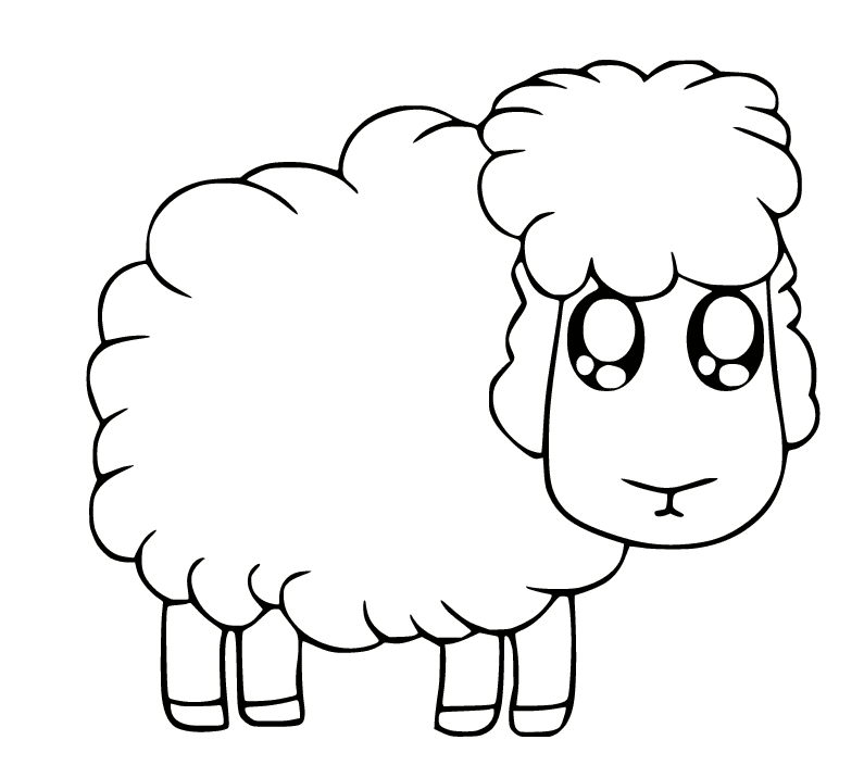 ระบายสี แกะน่ารักที่มีตาโต