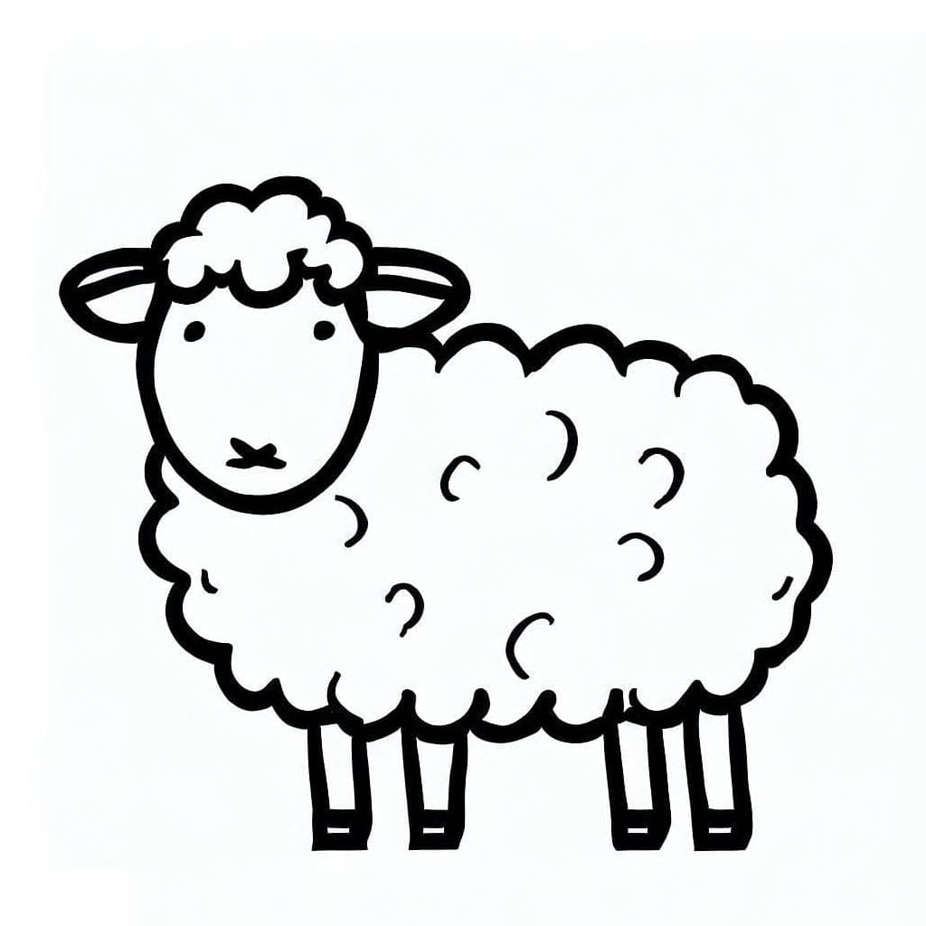 ระบายสี แกะง่ายมาก