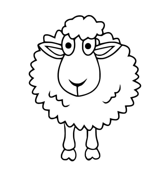 ระบายสี แกะโง่