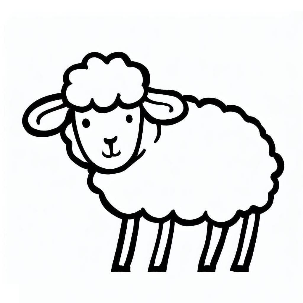 ระบายสี แกะพิมพ์ได้