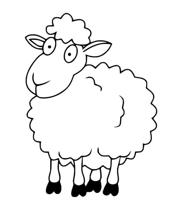 ระบายสี แกะสับสน