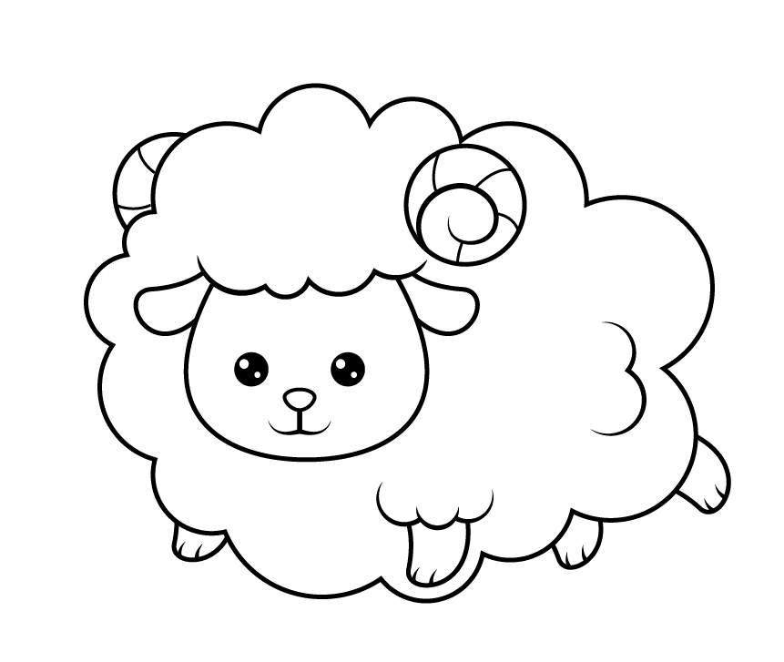 ระบายสี แกะแสนสวย