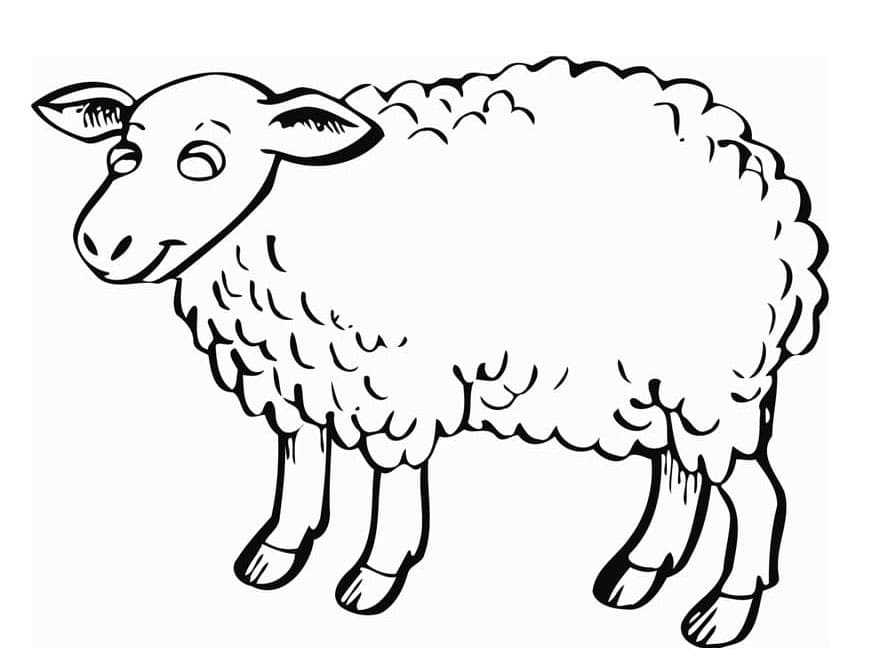 ระบายสี แกะสำหรับเด็กฟรี