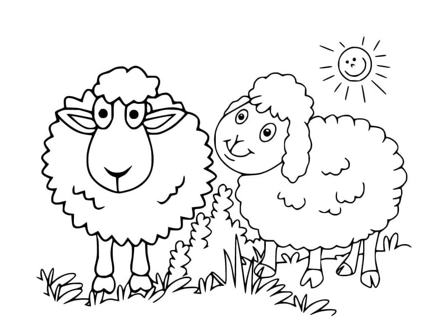 ระบายสี แกะสำหรับเด็ก