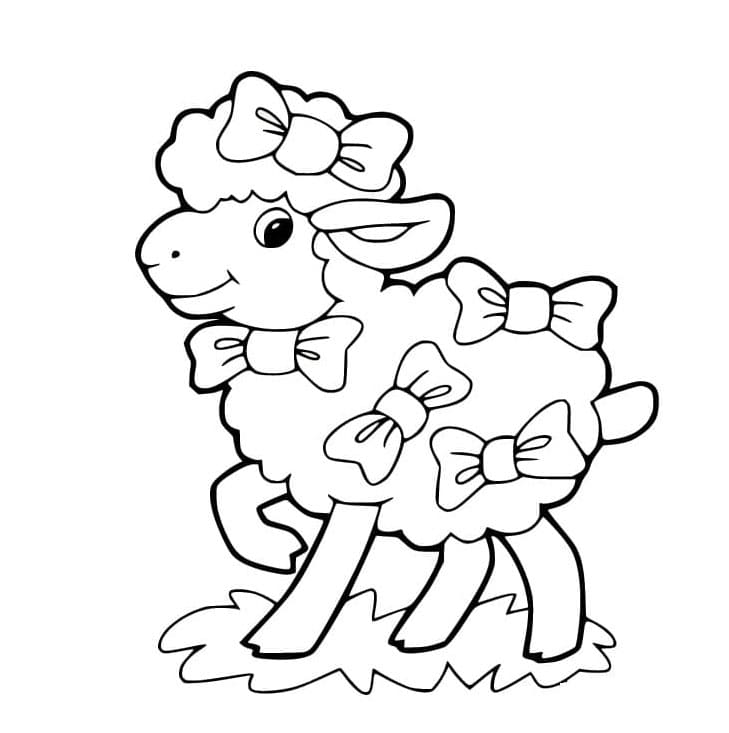 ระบายสี แกะที่น่ารัก