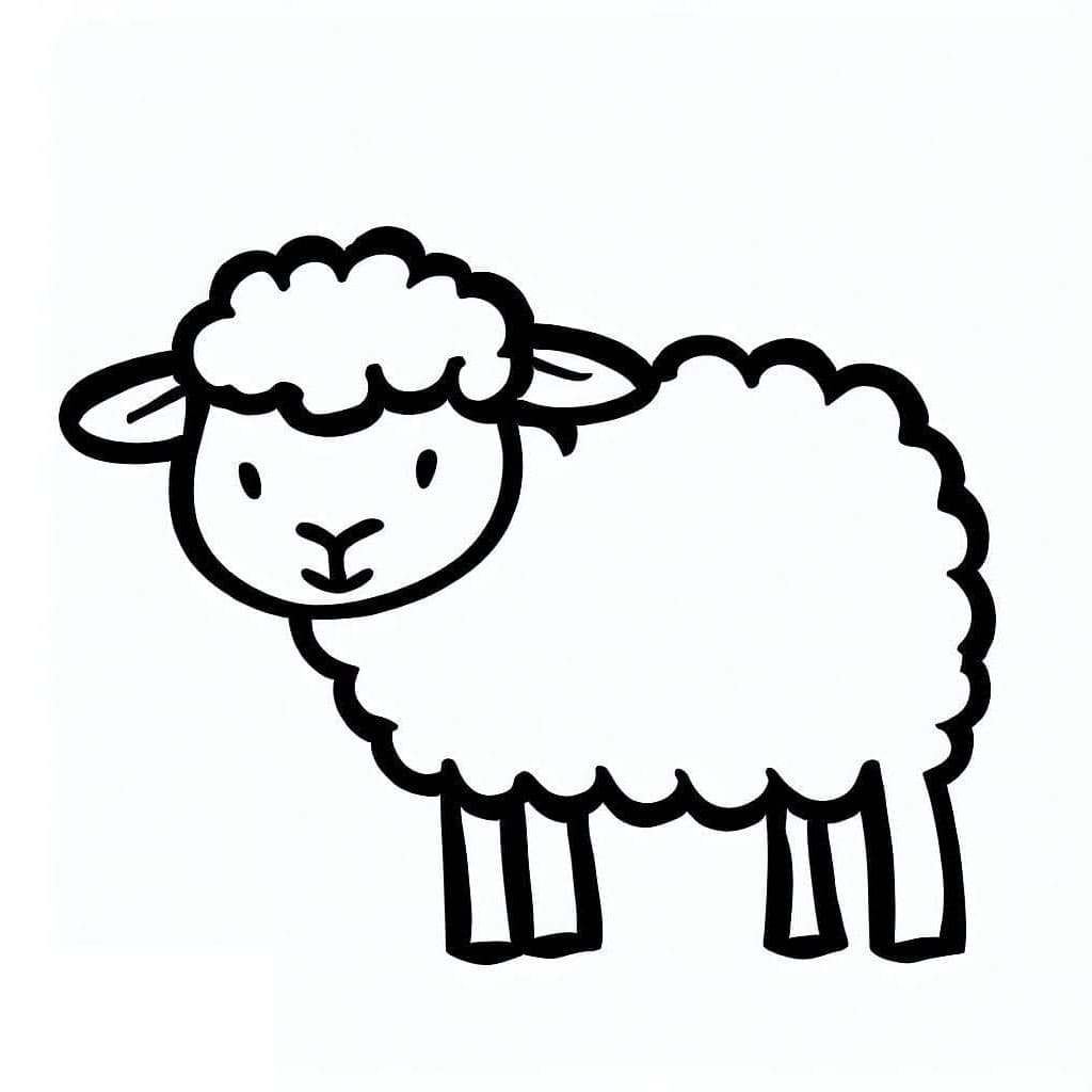 ระบายสี แกะธรรมดาๆ