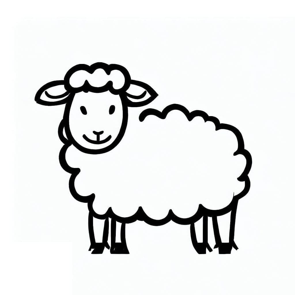 ระบายสี แกะธรรมดา