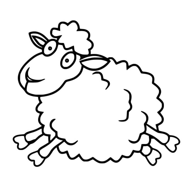 ระบายสี แกะวิ่ง