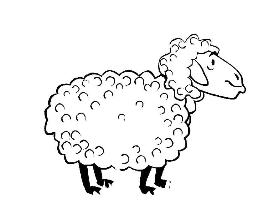 ระบายสี การ์ตูนแกะที่พิมพ์ได้