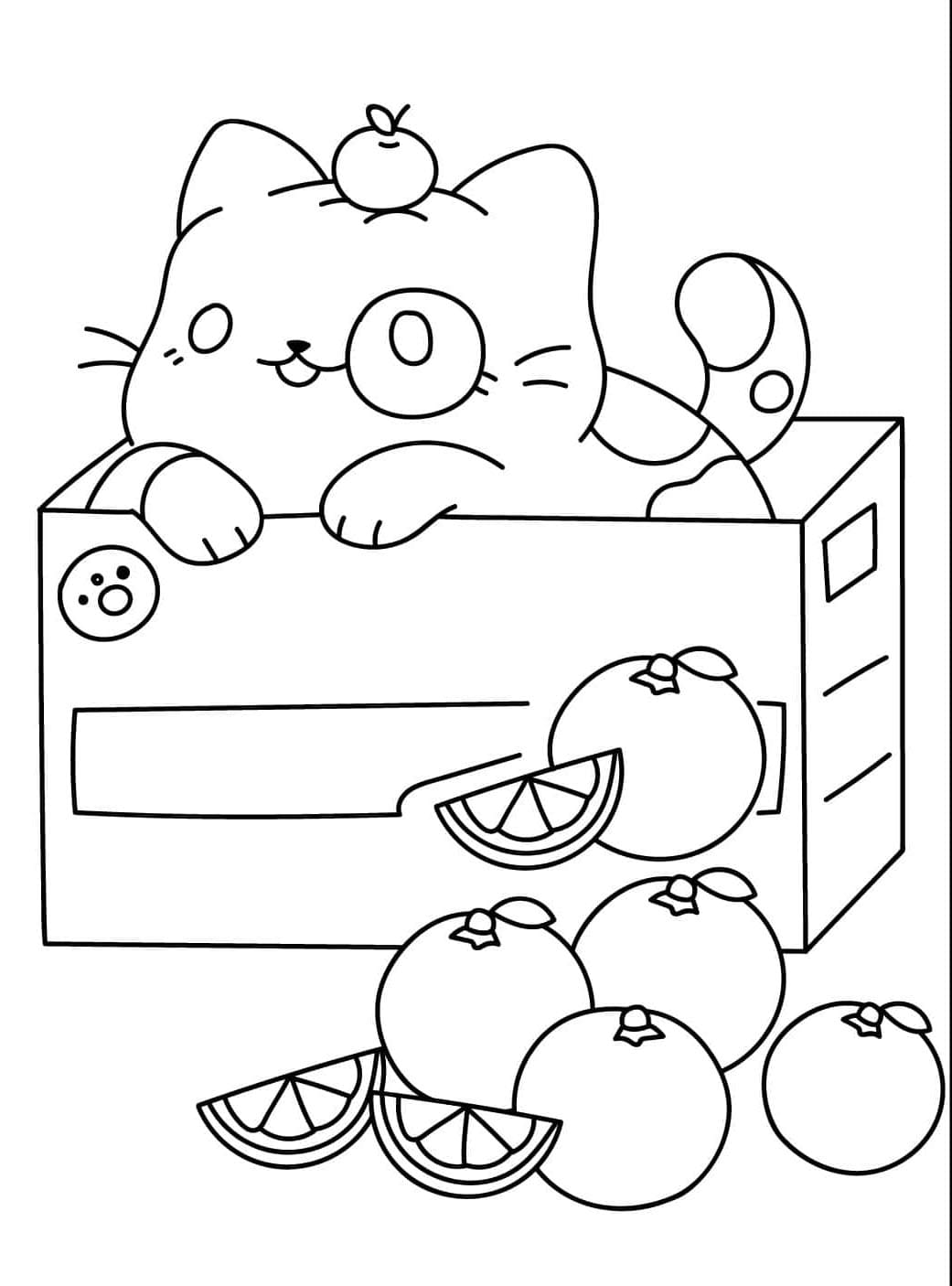 ระบายสี แมวนอนอยู่ในกล่องส้มและส้ม