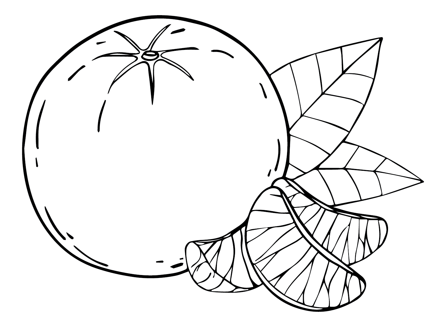 ระบายสี แผ่นส้ม