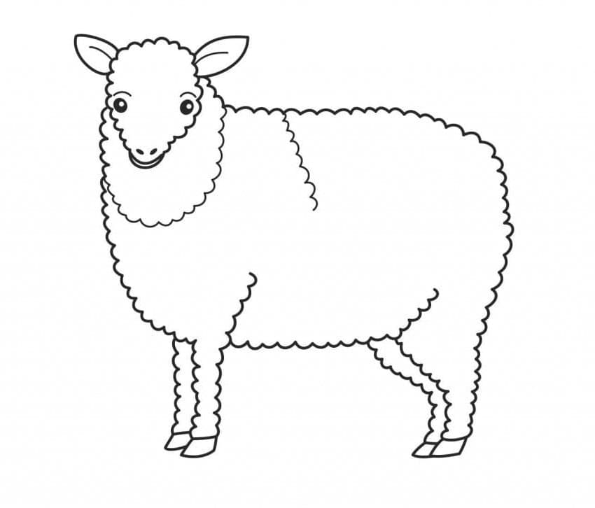 ระบายสี ภาพวาดแกะ