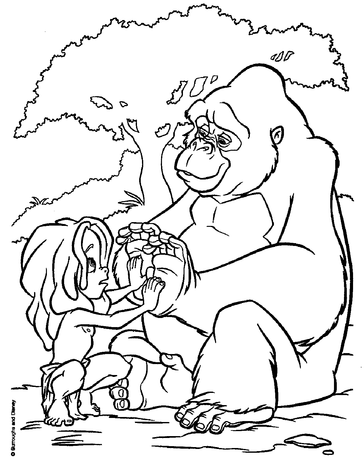 ระบายสี ทาร์ซานกับคาล่า