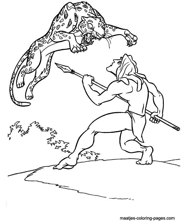 ระบายสี ทาร์ซาน ปะทะ เซบอร์