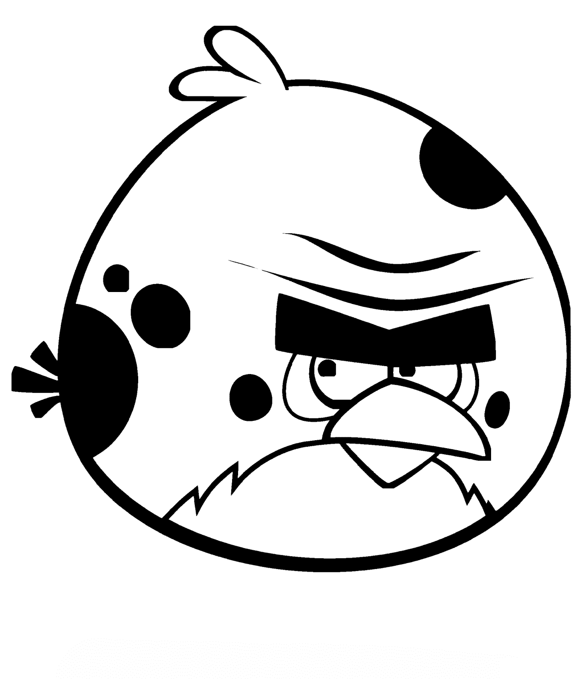 ระบายสี เทอเรนซ์ เบิร์ด