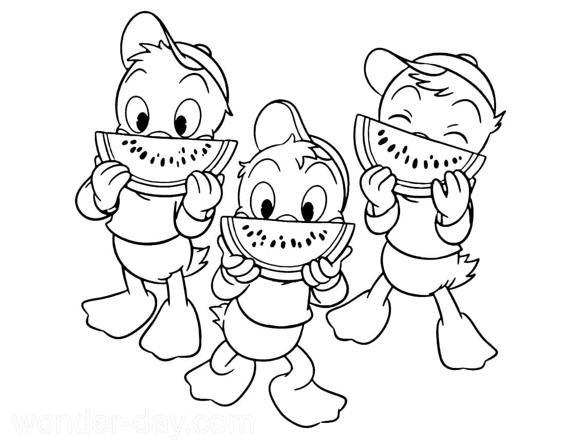 ระบายสี ฮิวอี้ ดิวอี้ และหลุยส์