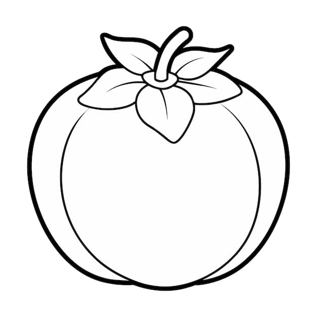 ระบายสี ลูกพลับแบบง่าย