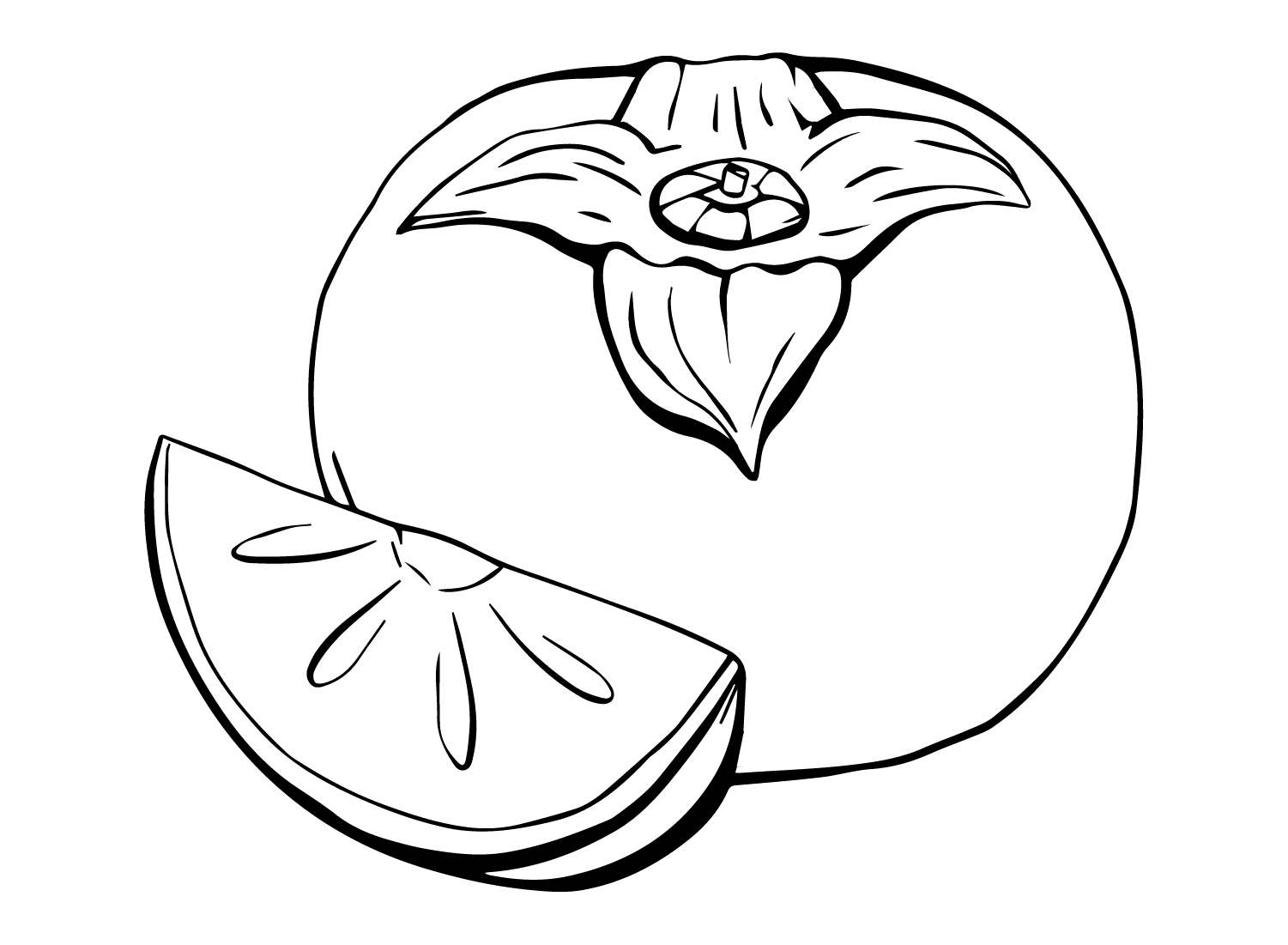 ระบายสี ลูกพลับฟรี